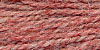 Salmon (SP-301)