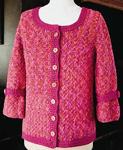 Gladiolus Cardigan