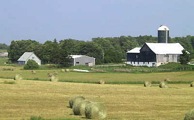 Farm Viewed from West